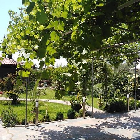 Villa Viktoria Halkidiki Nea Silata Eksteriør billede