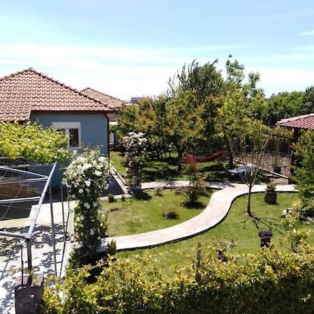 Villa Viktoria Halkidiki Nea Silata Eksteriør billede