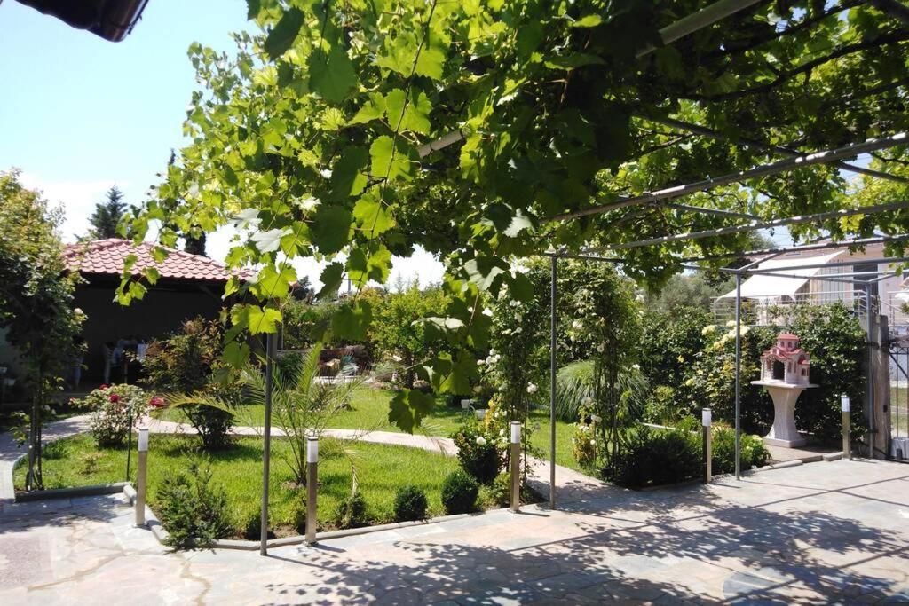 Villa Viktoria Halkidiki Nea Silata Eksteriør billede