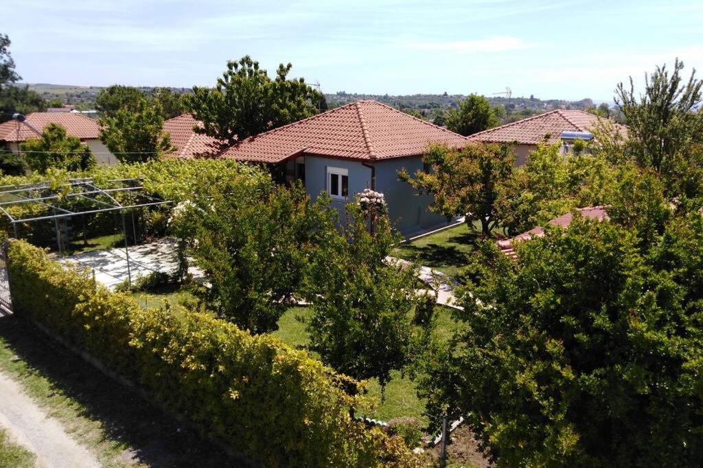 Villa Viktoria Halkidiki Nea Silata Eksteriør billede