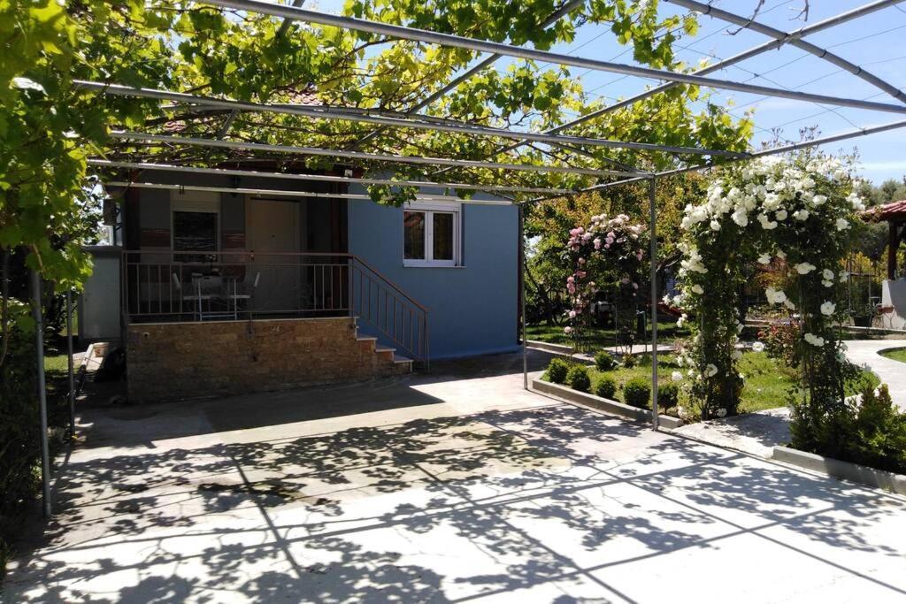 Villa Viktoria Halkidiki Nea Silata Eksteriør billede