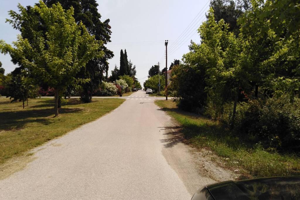 Villa Viktoria Halkidiki Nea Silata Eksteriør billede