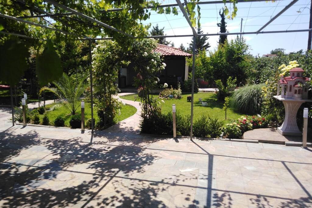 Villa Viktoria Halkidiki Nea Silata Eksteriør billede