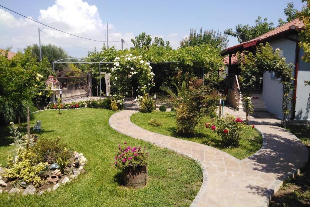 Villa Viktoria Halkidiki Nea Silata Eksteriør billede