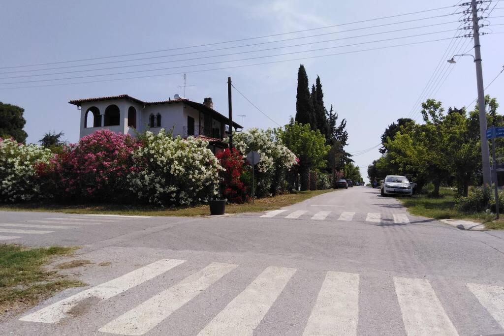 Villa Viktoria Halkidiki Nea Silata Eksteriør billede