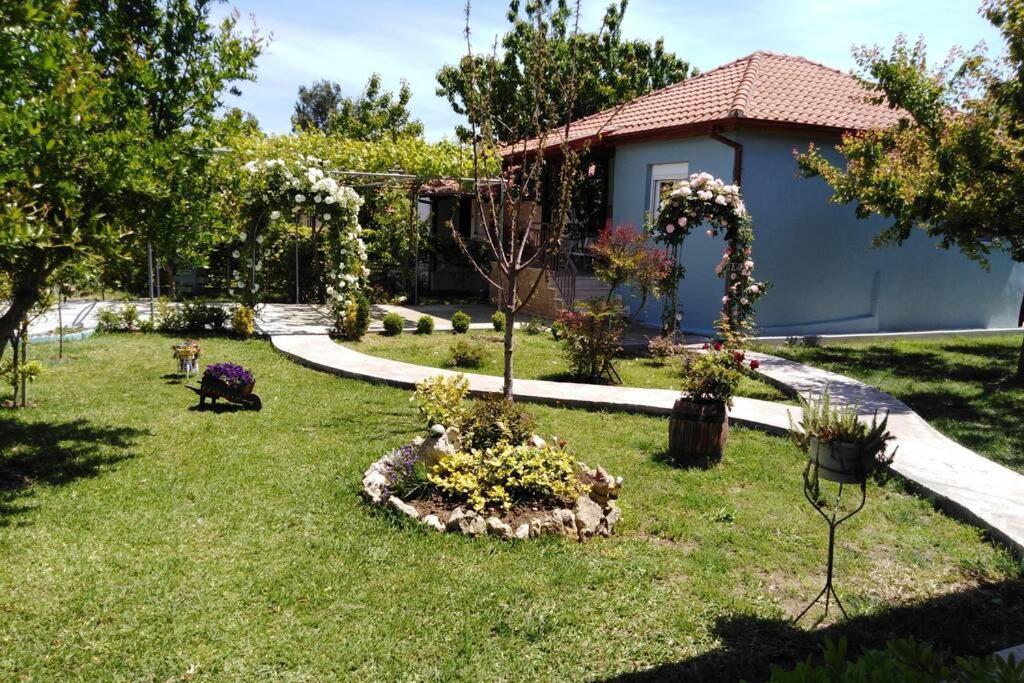 Villa Viktoria Halkidiki Nea Silata Eksteriør billede