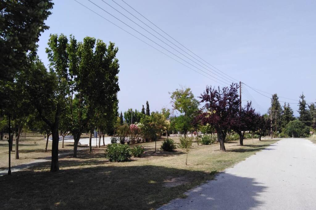 Villa Viktoria Halkidiki Nea Silata Eksteriør billede