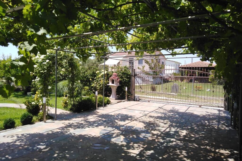 Villa Viktoria Halkidiki Nea Silata Eksteriør billede